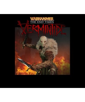 Warhammer: End Times - Vermintide - The Outsider DLC Steam Key GLOBAL